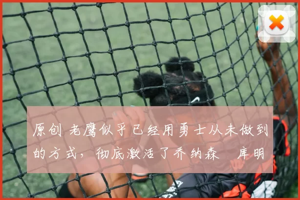 原创 老鹰似乎已经用勇士从未做到的方式,彻底激活了乔纳森・库明加