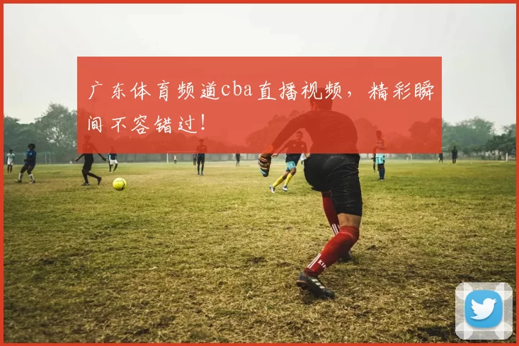 广东体育频道cba直播视频，精彩瞬间不容错过！