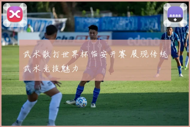 武术散打世界杯临安开赛 展现传统武术竞技魅力