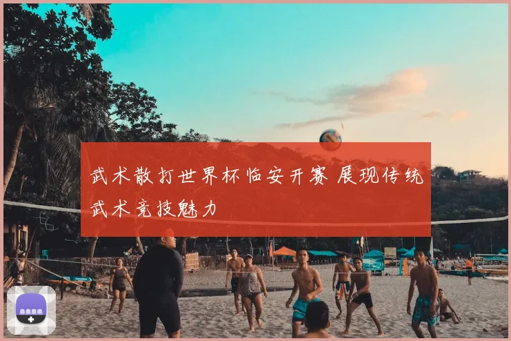 武术散打世界杯临安开赛 展现传统武术竞技魅力